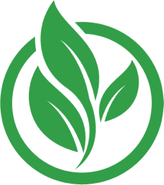 gut health supplement website