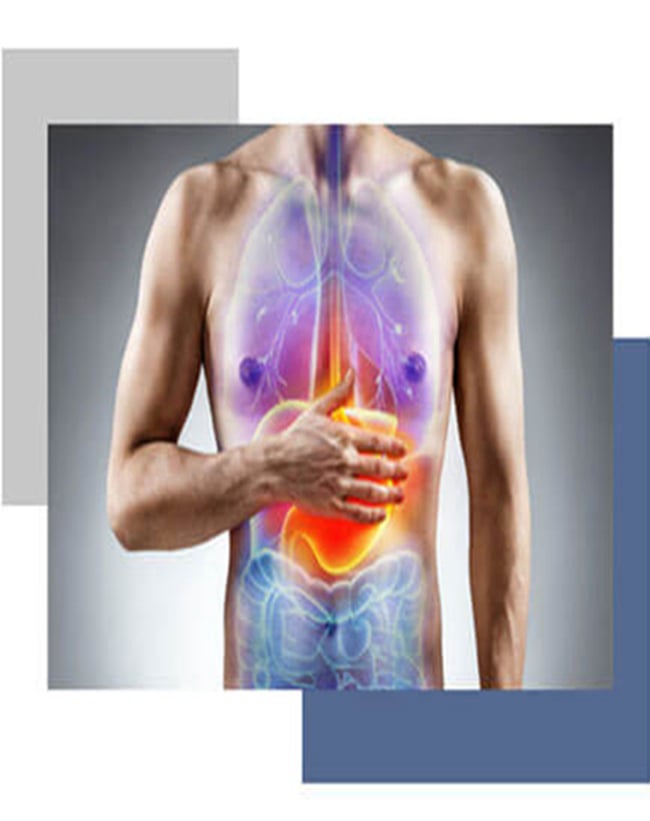What is gut health